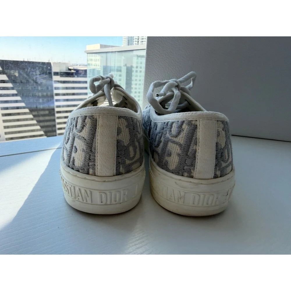 Dior authentic walk